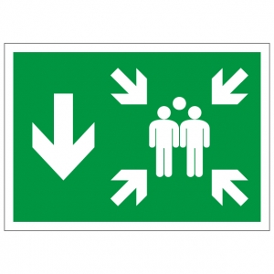 Assembly Point Down Arrow Safety Sign