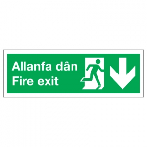 Fire Exit With Down Arrow