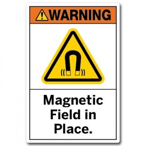 Magnetic Field In Place